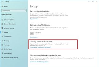 Windows 10 settings backup option