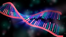 The origin of life might be discovered by looking into our DNA