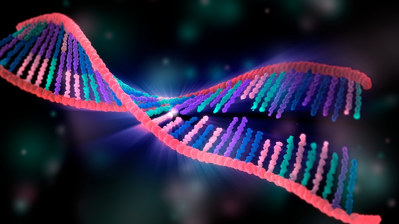 An illustration of the DNA binding process