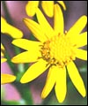 861D7E2B-F94F-46EE-8D85-B889B2F8A13A.jpg