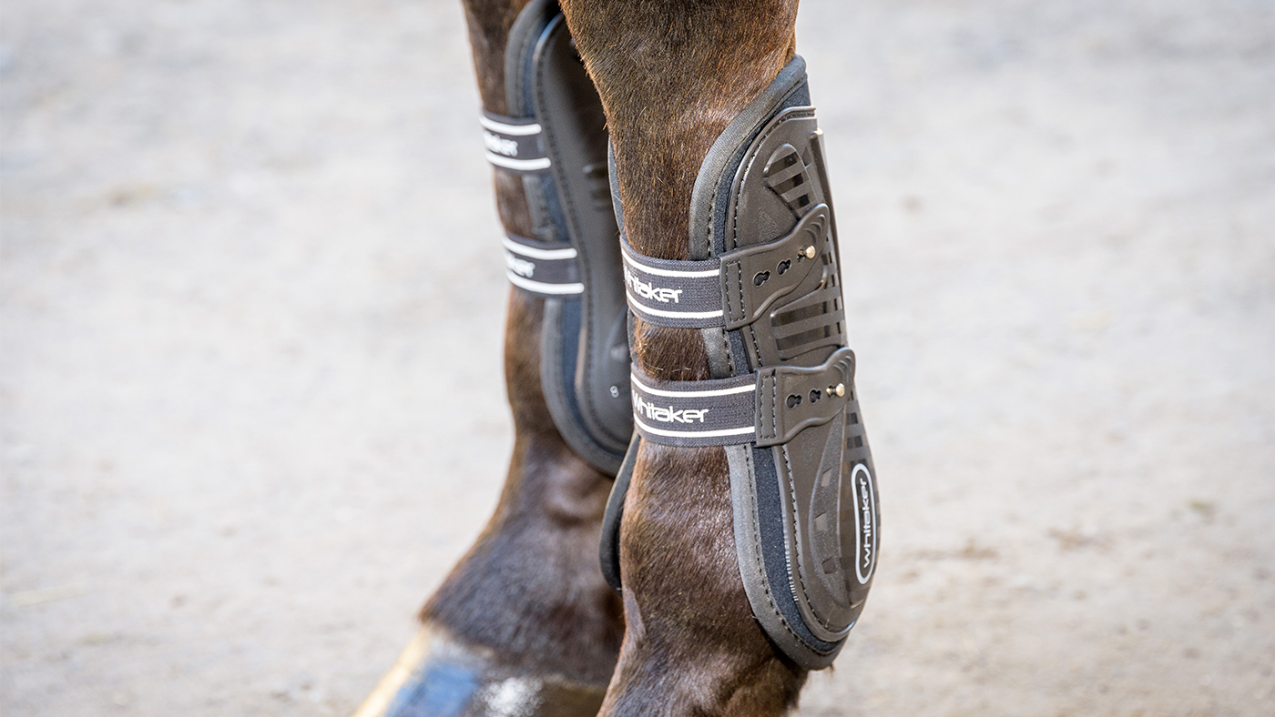 tendon boots types of horse boots