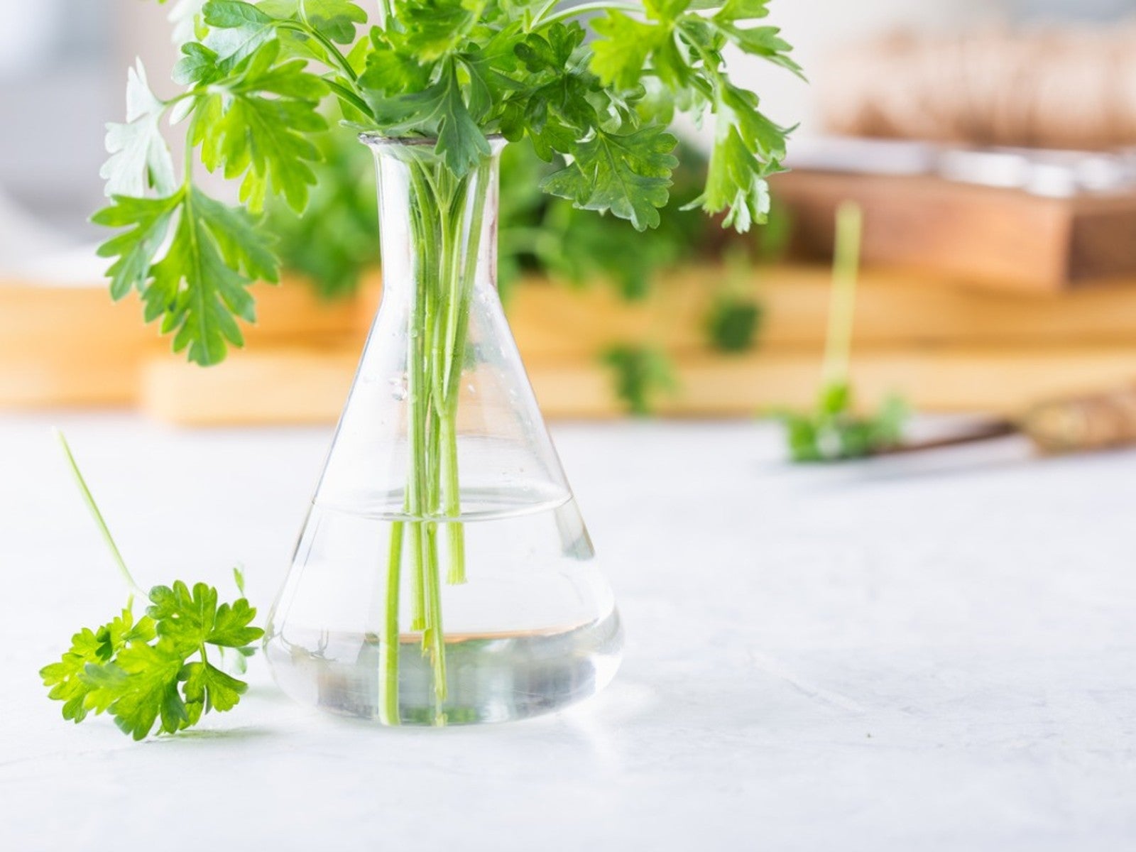 how to propagate parsley        
        <figure class=