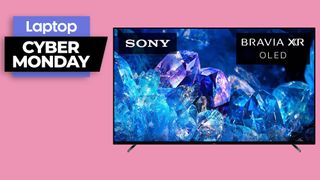 Sony Bravia OLED TV