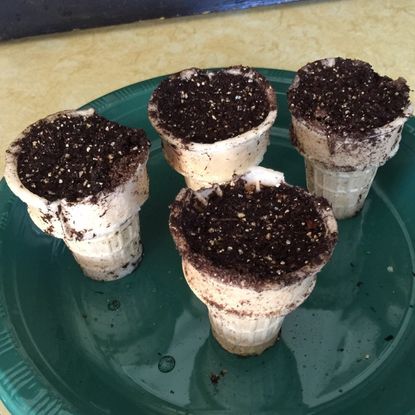 ice cream cone pots
