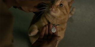 Goose the cat in Captain Marvel