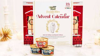Best advent calendars for cats: PURINA cat advent calendar