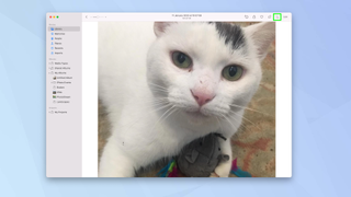 How to edit photos on a Mac for free in macOS Photos
