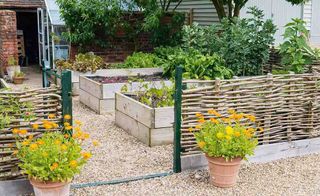 kitchen gardens with raised beds and wicker fencing