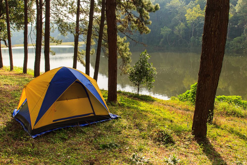 camping, getout, forest