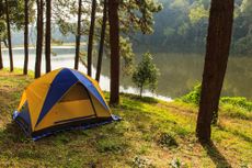camping, getout, forest