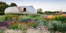 A flowers-filled field features bright patches of green, purple, red, pink, and orange, in front of a futuristic, oblong cement building at sunset.