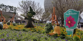 Sorcerer Mickey topiary