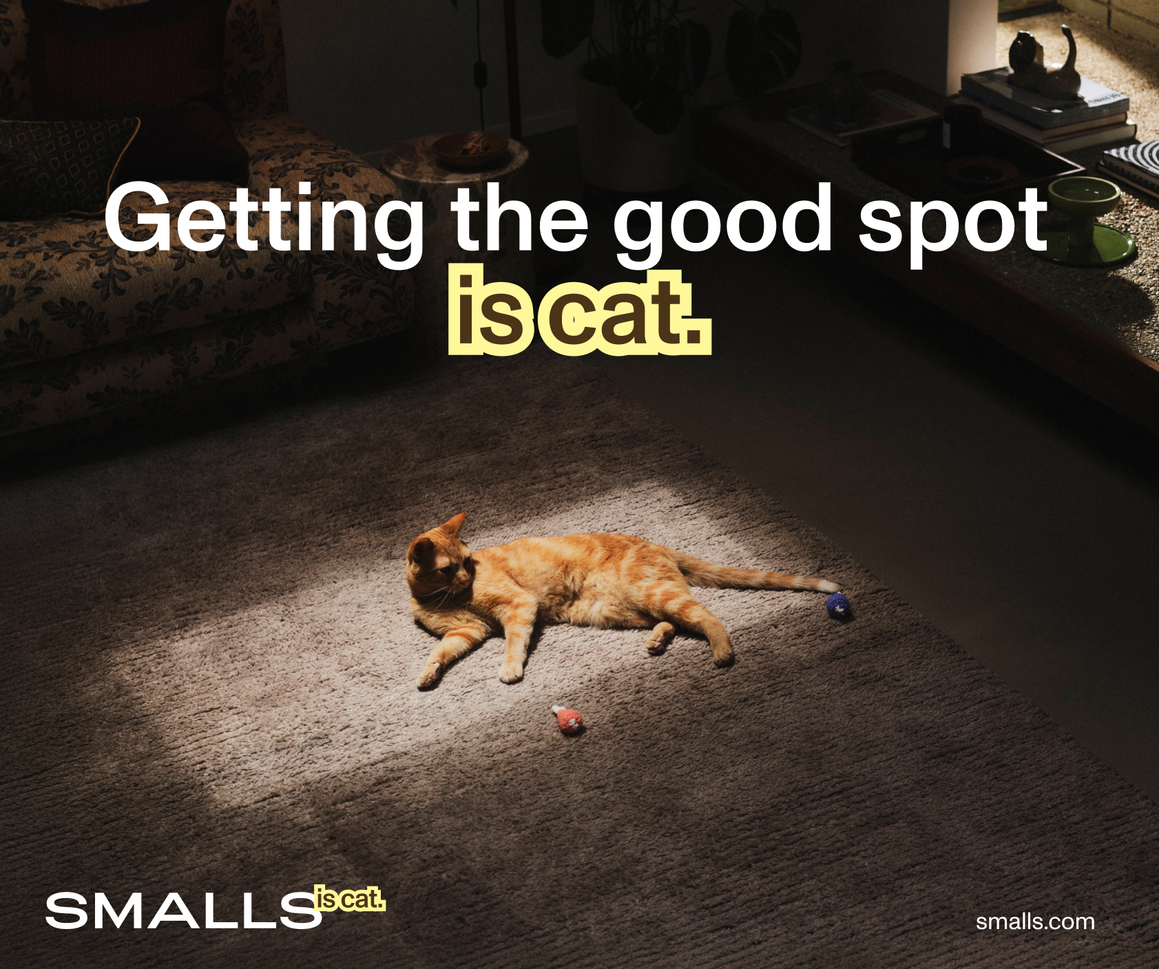 Yellow poster with brown text reading "Getting the good spot is cat" beside a photo of a ginger cat sprawled across a carpet in a shaft of sunlight.
