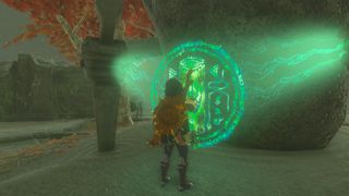 Zelda Tears of the Kingdom Domizuin Shrine