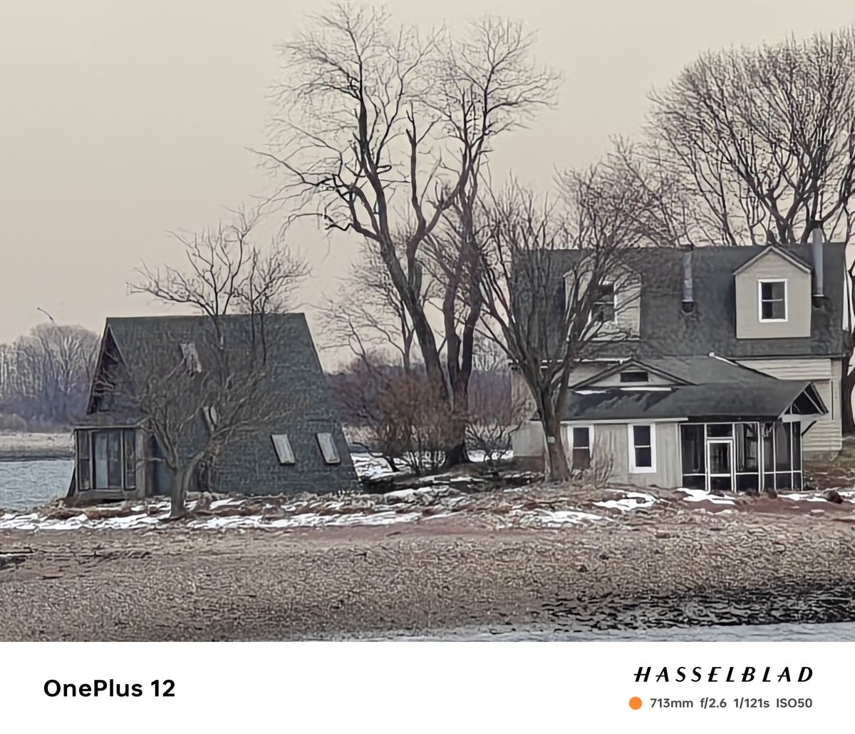 OnePlus 12 camera image samples