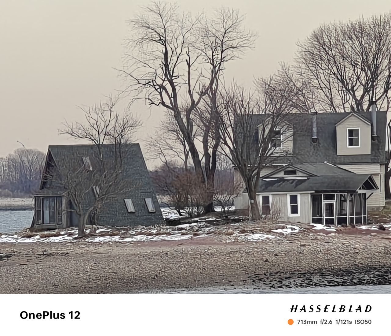 OnePlus 12 camera image samples