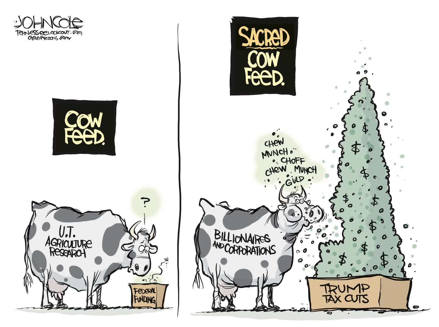 
                                This two panel cartoon depicts two cows eating. The left panel is titled &quot;Cow Feed&quot; and the right &quot;SACRED COW Feed.&quot; The cow on the left, labeled &quot;U.T. AGRICULTURE RESEARCH,&quot; looks questioningly at a small amount of feed labeled &quot;FEDERAL FUNDING&quot; in its trough. The cow on the right, labeled &quot;BILLIONAIRES AND CORPORATIONS,&quot; greedily devours a large pile of feed made of dollar signs, overflowing from a trough labeled &quot;TRUMP TAX CUTS.&quot;
                            