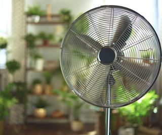 A close up of a metal fan next to some plants