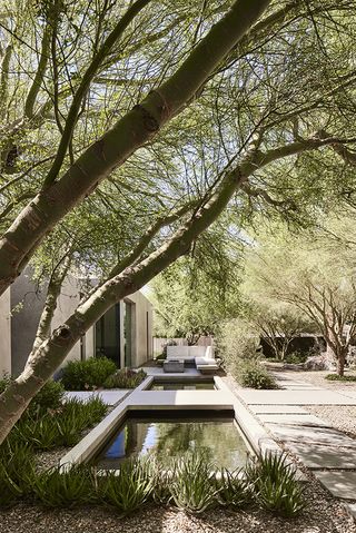 exterior view among trees of Slot Canyon Residence