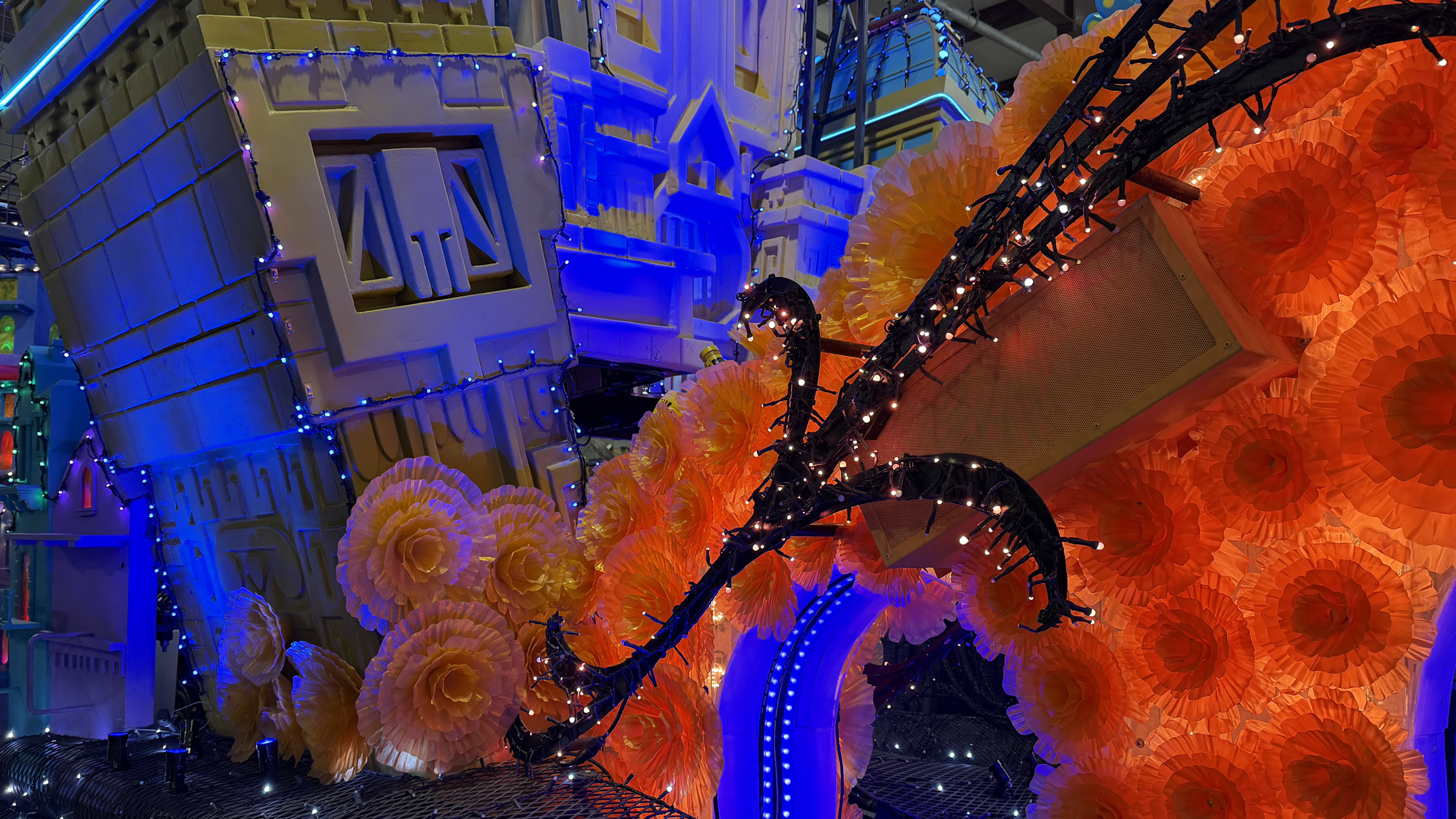 8-Disney World Starlight Tour