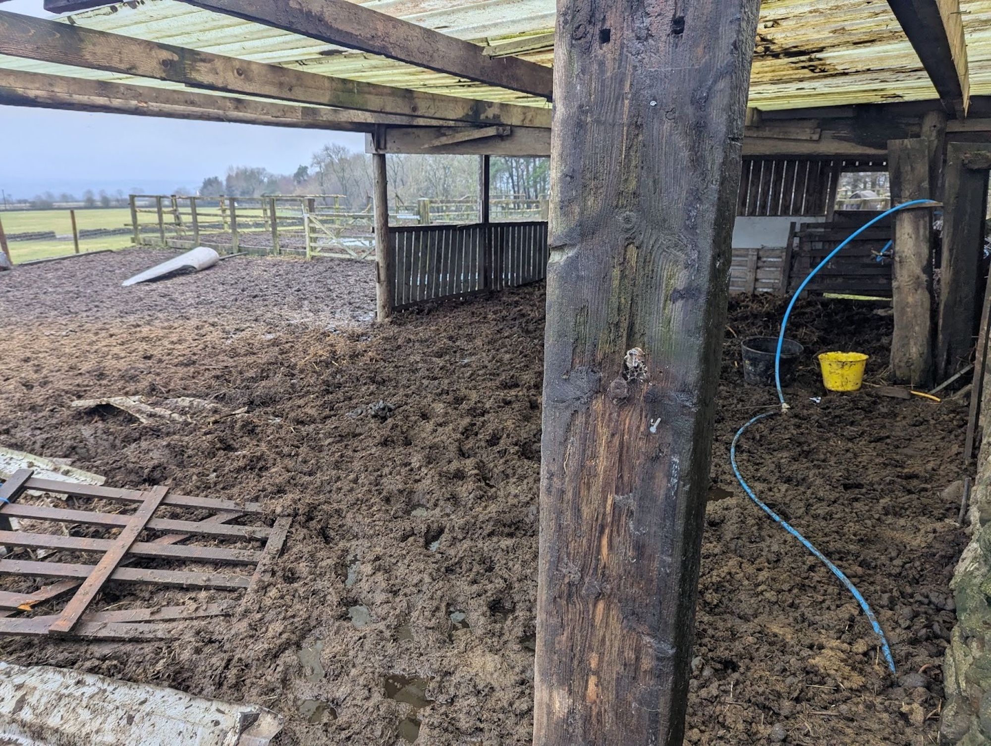 Kerry Anne Pickersgill's barn, deep in mud