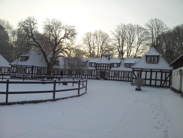 S&amp;oslash;holt in snow