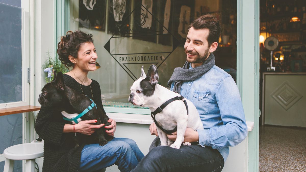 Couple sat outside cafe with dogs on their laps