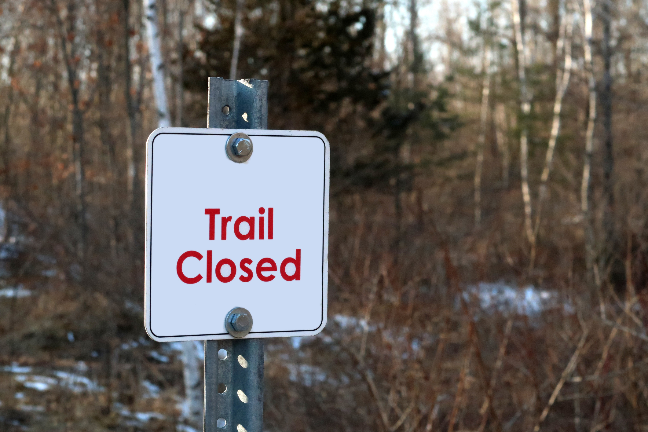 Trail closed sign in the woods