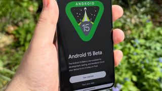 The Android 15 logo from the Android developer website, displayed on a Pixel 8 Pro