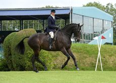 HELLODOLLY_Hickstead15pn_20020A.jpg