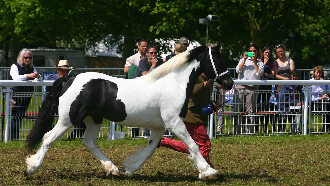 Bath and West Show