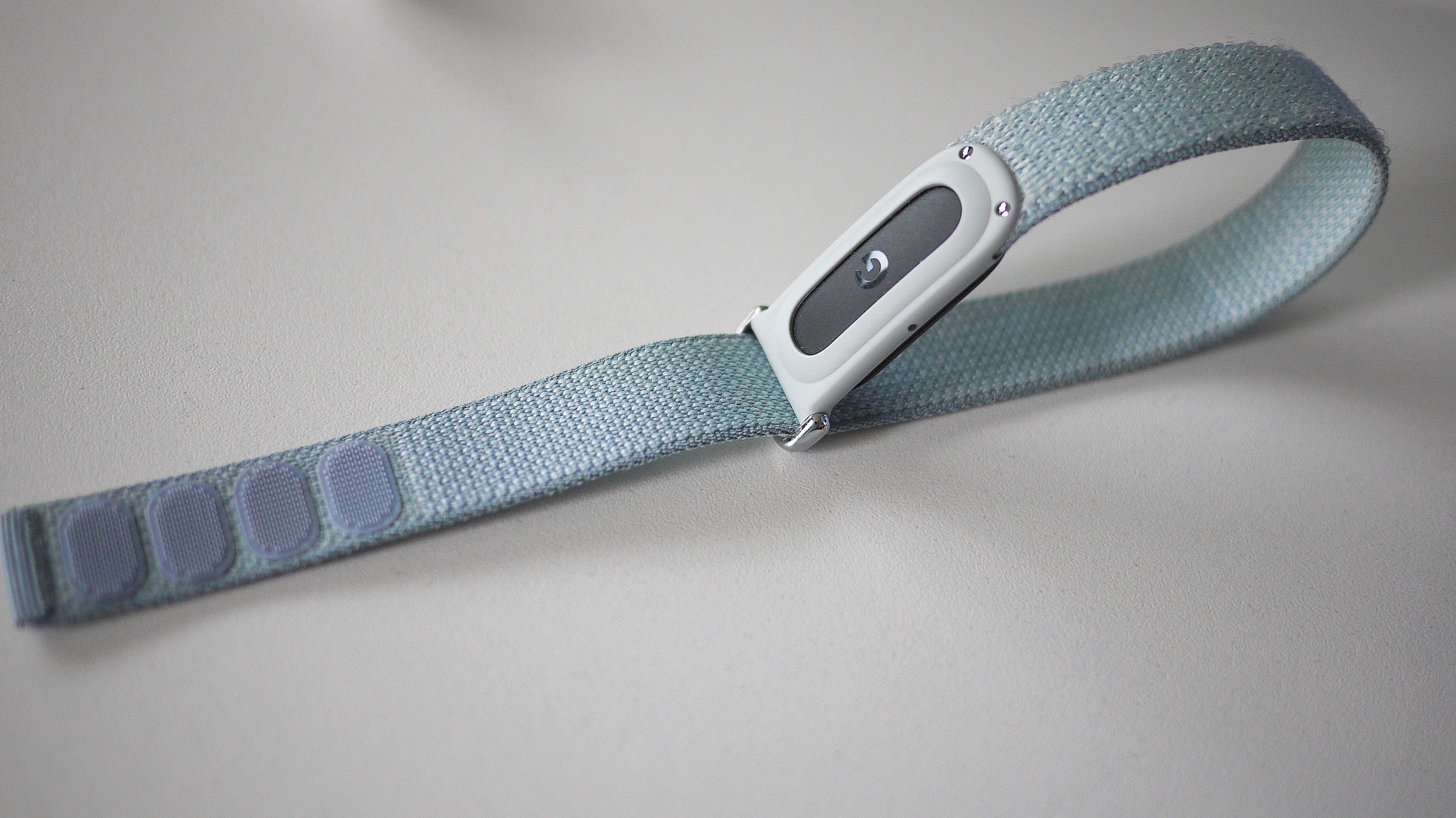 Google Fitbit Air
