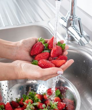 Somebody washing a handful of strawberries under a running tap