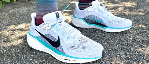 Nike Pegasus 41 running shoes