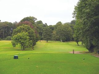 View from the tee box at Bramshaw Golf Club