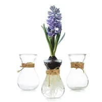 Hewory Clear Mini Hyacinth Growing Bud Vase, 3 pack