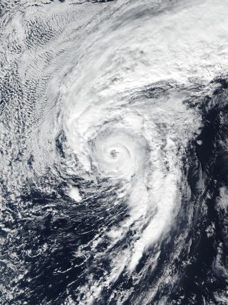 Hurricane Alex 2016