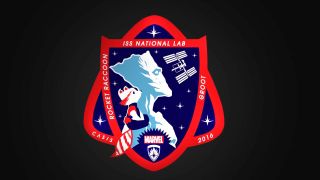The 2016 International Space Station U.S. National Laboratory patch.