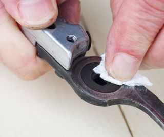 cleaning the pivot area of a set of pruning shears
