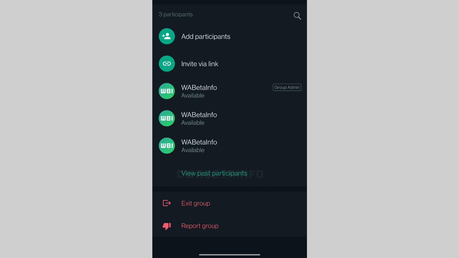WhatsApp group showing past participants option
