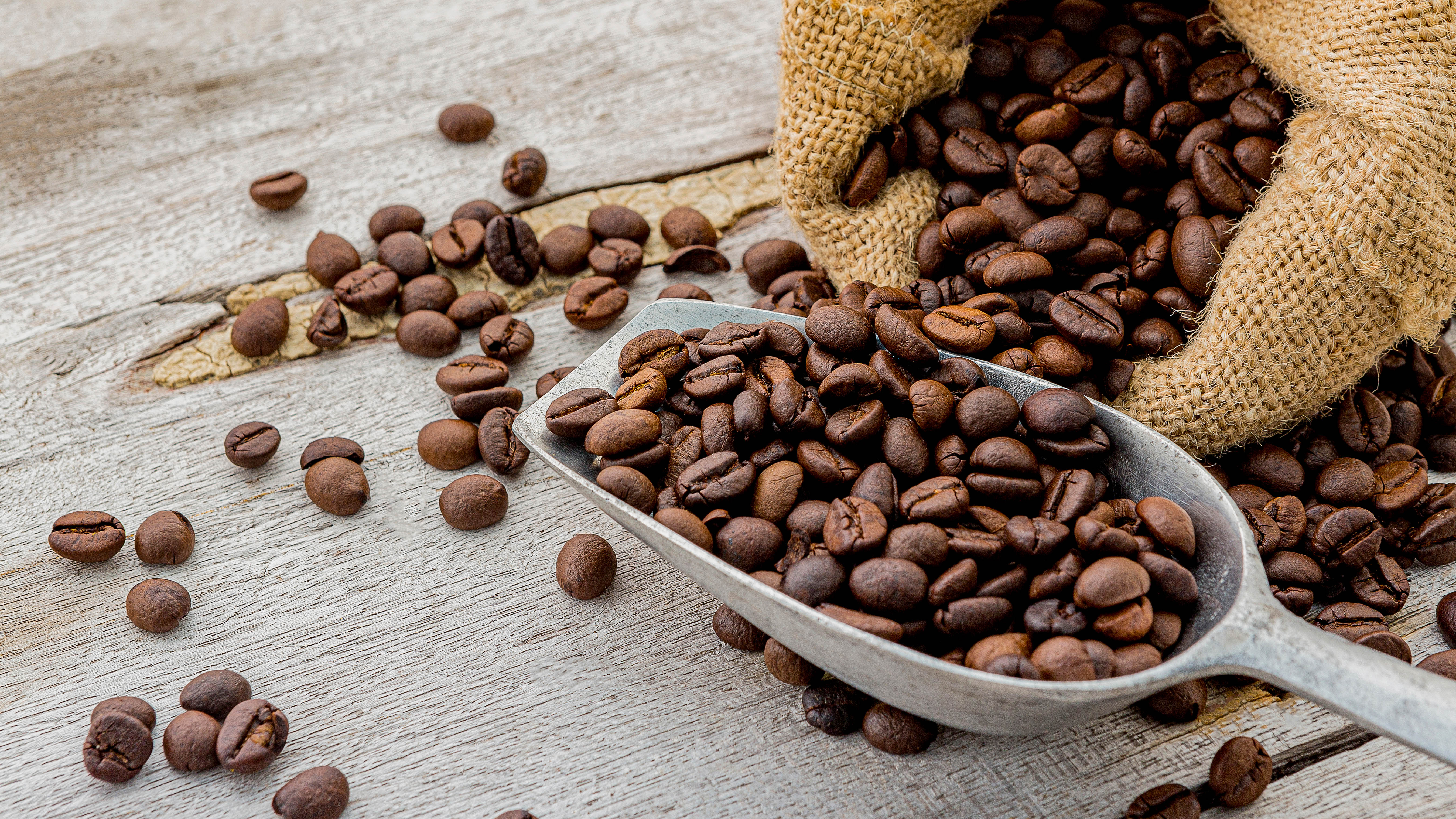 Coffee beans in bag and scoop