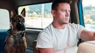 Channing Tatum as U.S. Army Ranger Briggs with Lulu the Belgian Malinois military working dog in Dog movie