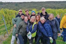 Ailsa Chambers (centre, in high-vis) with other pickers