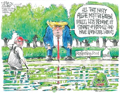 Political Cartoon