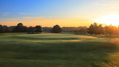 Ferndown Golf Club Old Course Review