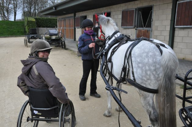 Debbie Daniels National Para Driving Equestrian Champion 2015