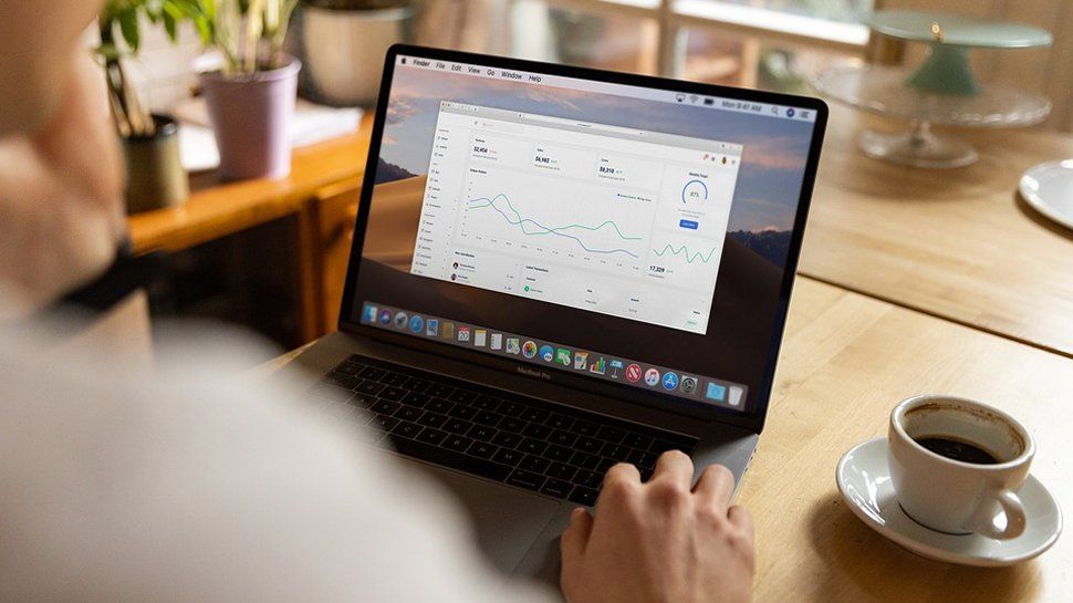 Someone looking at a data chart on a laptop screen.