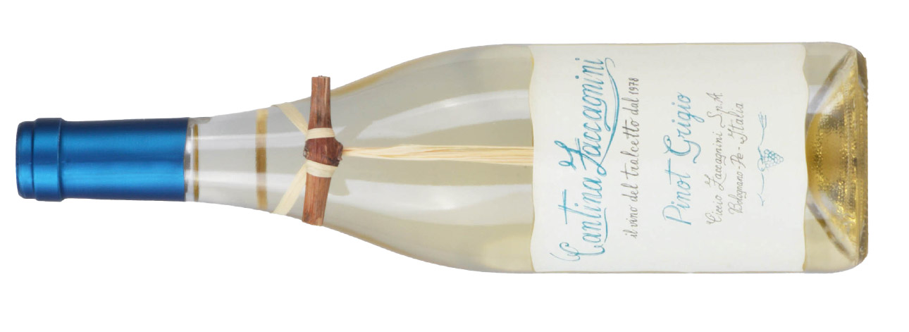 Pinot-Grigio-Zaccagnini.jpg