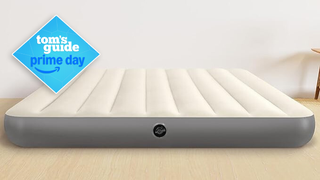 Intex Airbed in a brightly lit room