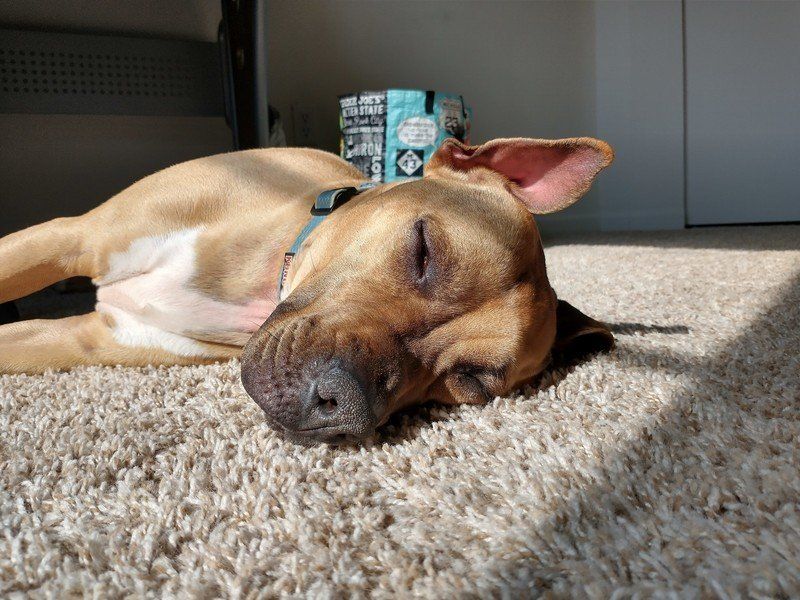 Moto G Power Camera Sample